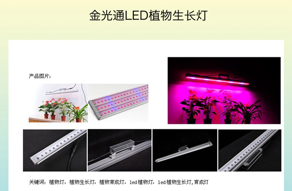 金光通LED植物生长灯